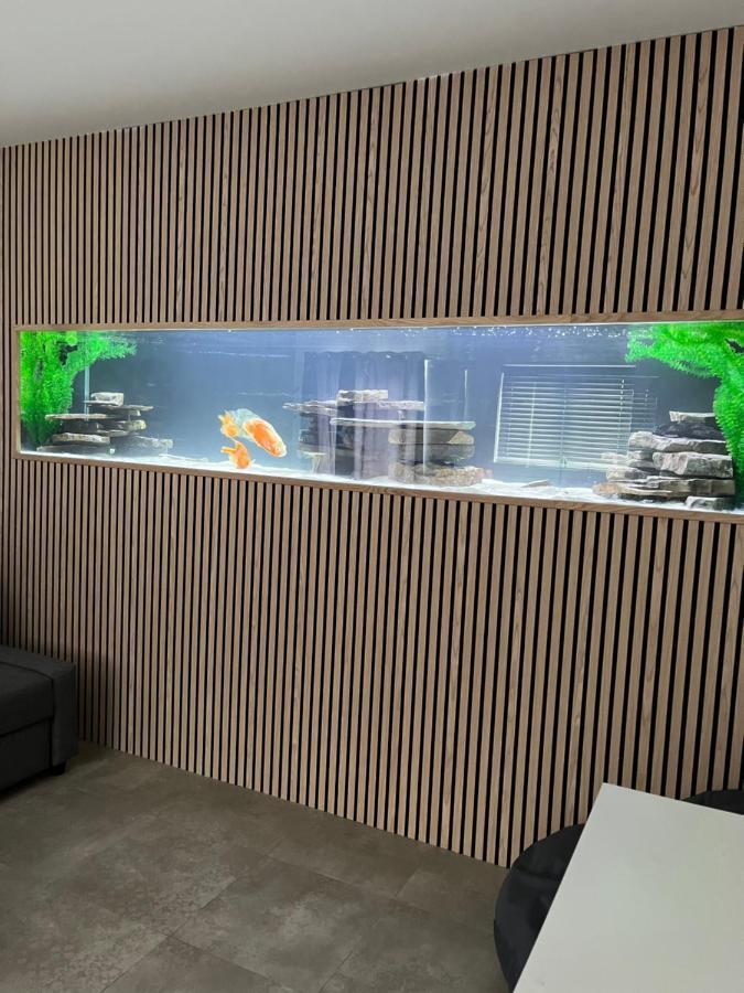 Terfyn Hall Aquarium Apartment 1 Prestatyn Bagian luar foto